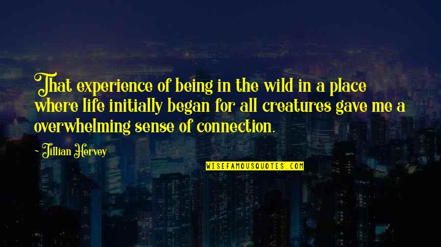 Connection To Place Quotes By Jillian Hervey: That experience of being in the wild in