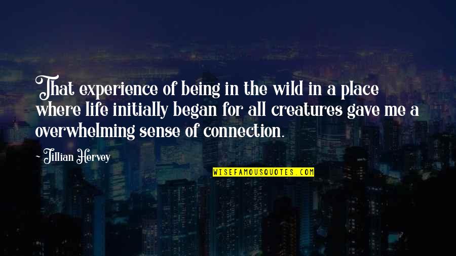 Connections In Life Quotes By Jillian Hervey: That experience of being in the wild in Connections In Life Quotes By Jillian Hervey: That experience of being in the wild in