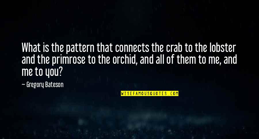 Connects Quotes By Gregory Bateson: What is the pattern that connects the crab