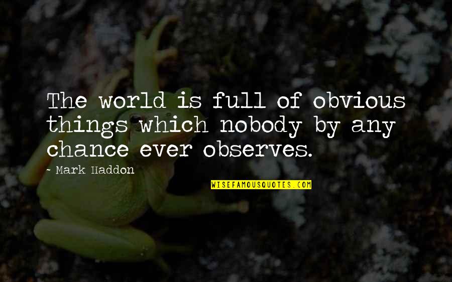 Connotacion Diccionario Quotes By Mark Haddon: The world is full of obvious things which
