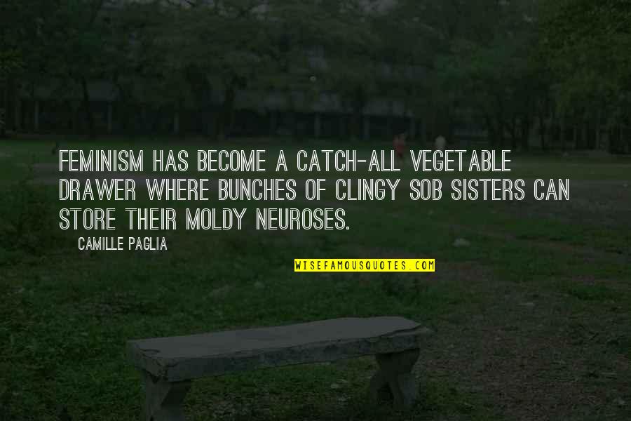 Conocemos Translation Quotes By Camille Paglia: Feminism has become a catch-all vegetable drawer where Conocemos Translation Quotes By Camille Paglia: Feminism has become a catch-all vegetable drawer where