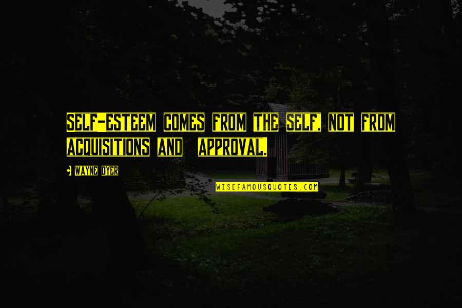 Conocidos En Quotes By Wayne Dyer: Self-esteem comes from the self, not from acquisitions