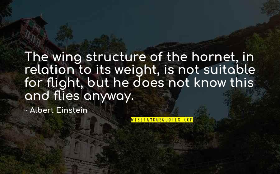 Conocieron Quotes By Albert Einstein: The wing structure of the hornet, in relation