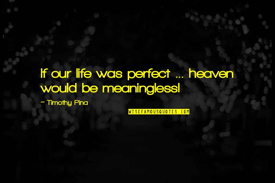 Conondrums Quotes By Timothy Pina: If our life was perfect ... heaven would