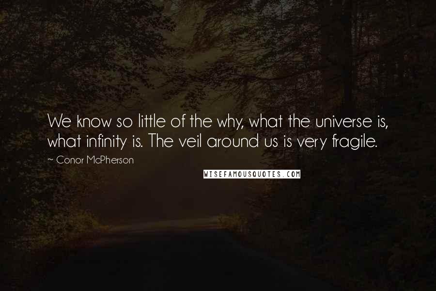 Conor McPherson quotes: We know so little of the why, what the universe is, what infinity is. The veil around us is very fragile.
