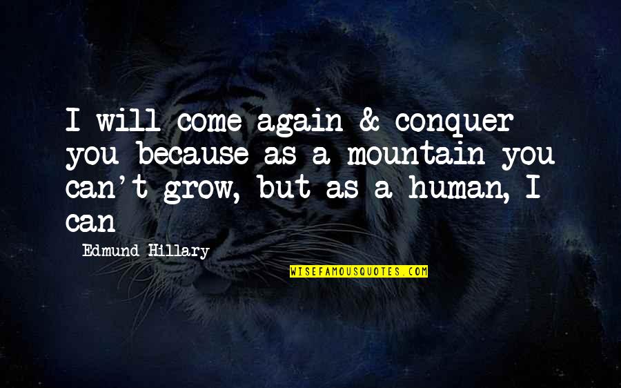 Conquer Mountain Quotes By Edmund Hillary: I will come again & conquer you because