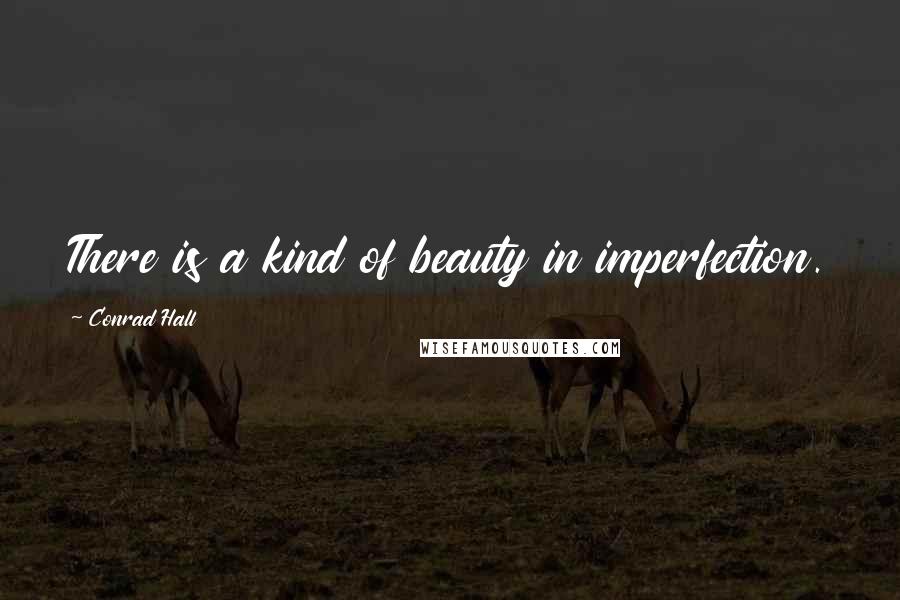 Conrad Hall quotes: There is a kind of beauty in imperfection.