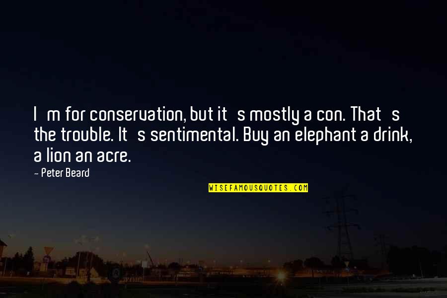 Con's Quotes By Peter Beard: I'm for conservation, but it's mostly a con.