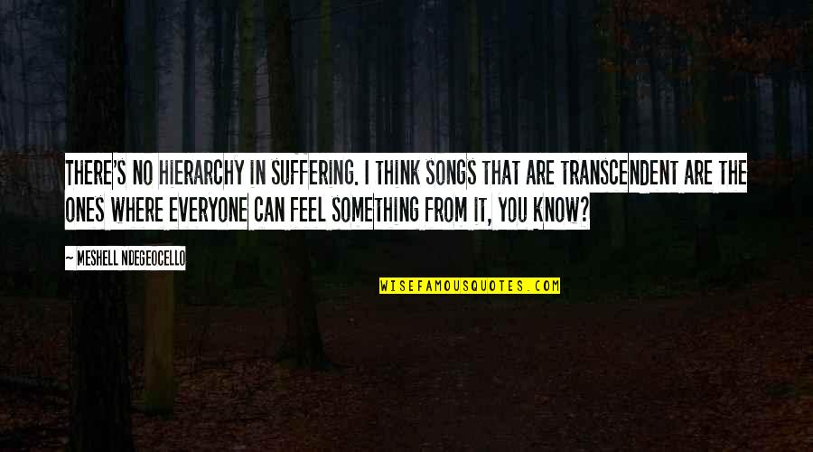 Consciences Objectors Quotes By Meshell Ndegeocello: There's no hierarchy in suffering. I think songs