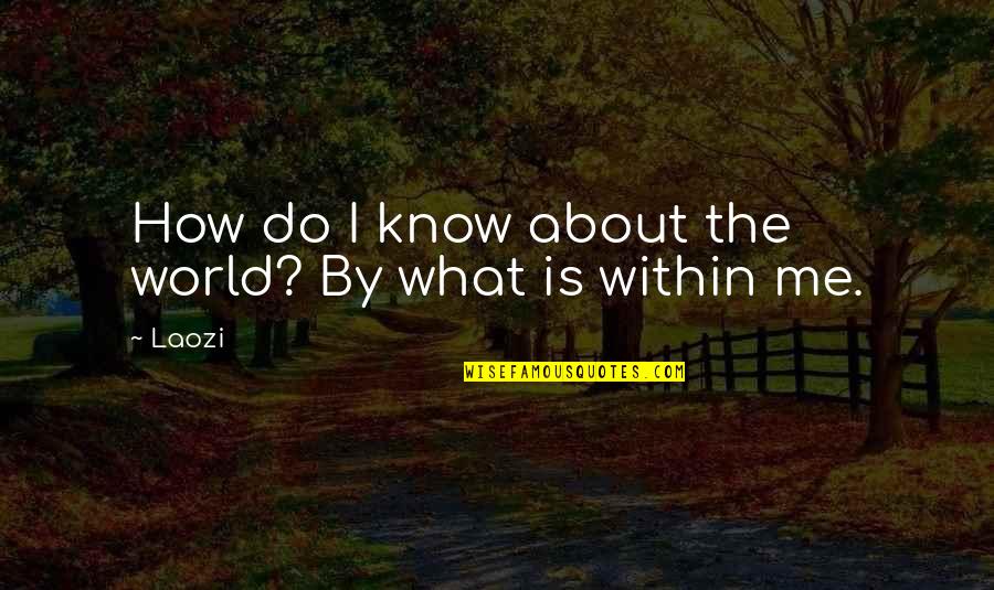 Conscious Relationship Quotes By Laozi: How do I know about the world? By