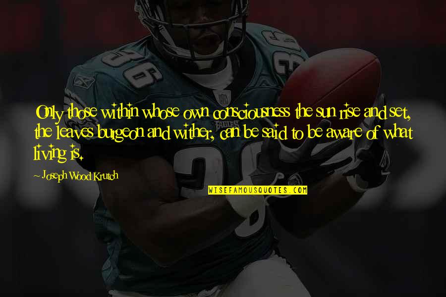 Consciousness Is Quotes By Joseph Wood Krutch: Only those within whose own consciousness the sun
