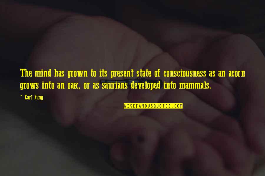 Consciousness Jung Quotes By Carl Jung: The mind has grown to its present state Consciousness Jung Quotes By Carl Jung: The mind has grown to its present state