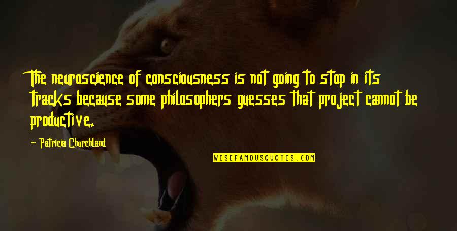 Consciousness Neuroscience Quotes By Patricia Churchland: The neuroscience of consciousness is not going to