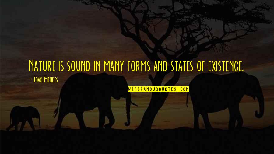 Consciousness Quotes By Joao Mendes: Nature is sound in many forms and states