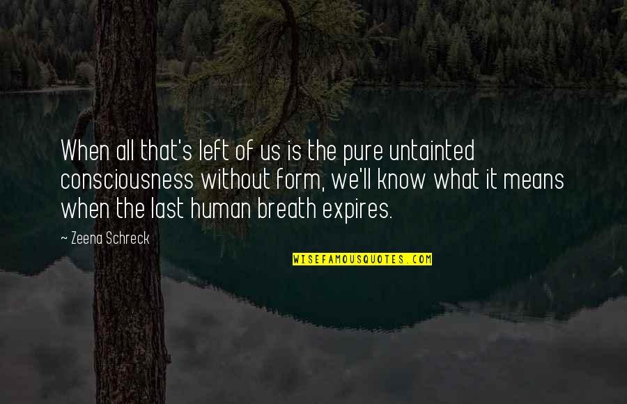 Consciousness Quotes By Zeena Schreck: When all that's left of us is the