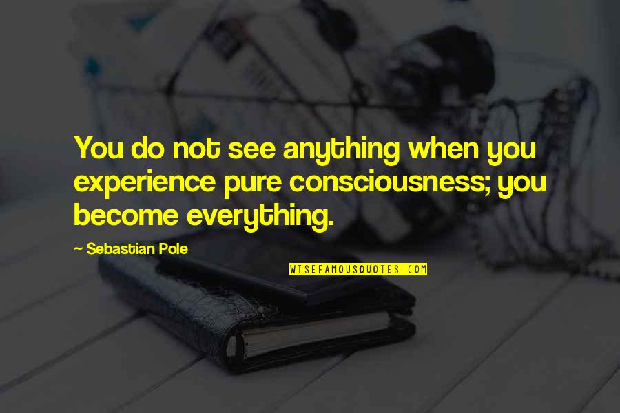 Consciousness Therapy Quotes By Sebastian Pole: You do not see anything when you experience Consciousness Therapy Quotes By Sebastian Pole: You do not see anything when you experience