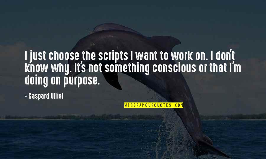 Conscious's Quotes By Gaspard Ulliel: I just choose the scripts I want to