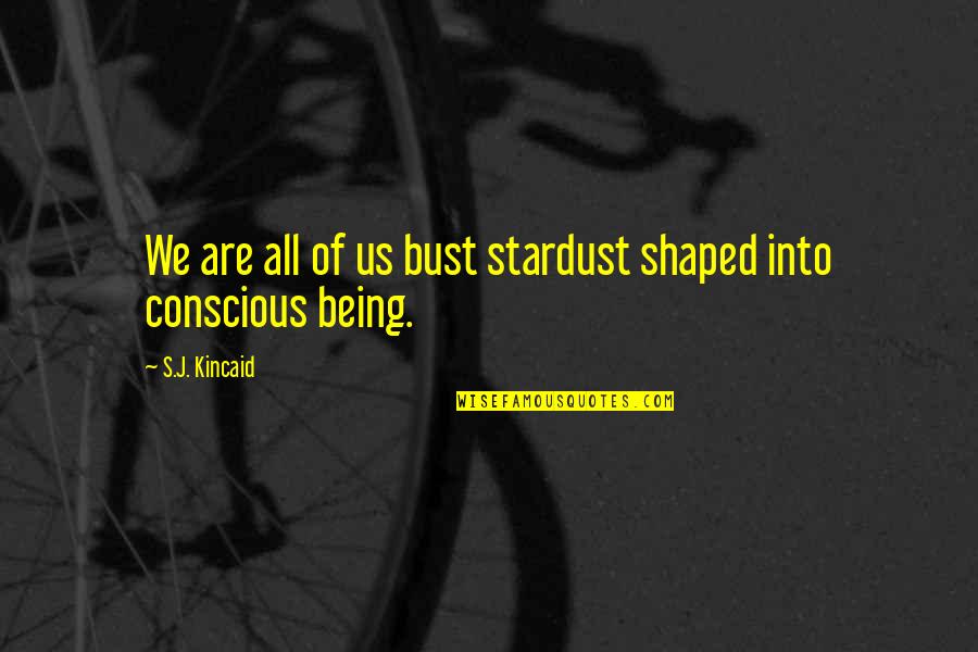 Conscious's Quotes By S.J. Kincaid: We are all of us bust stardust shaped