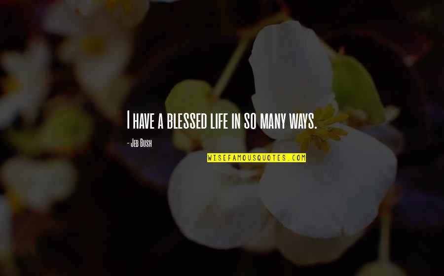 Conseiller Dorientation Quotes By Jeb Bush: I have a blessed life in so many