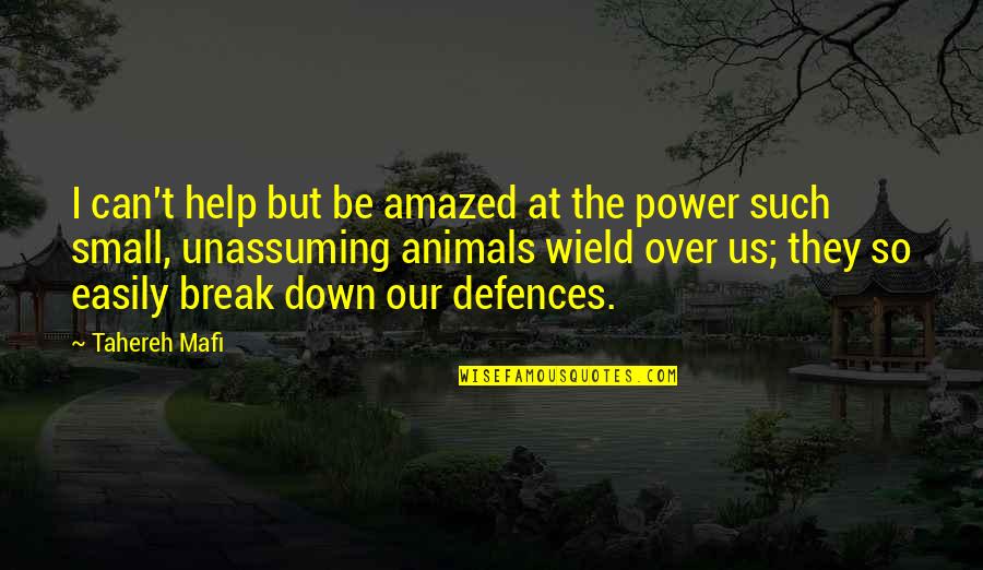 Conservadores En Quotes By Tahereh Mafi: I can't help but be amazed at the Conservadores En Quotes By Tahereh Mafi: I can't help but be amazed at the