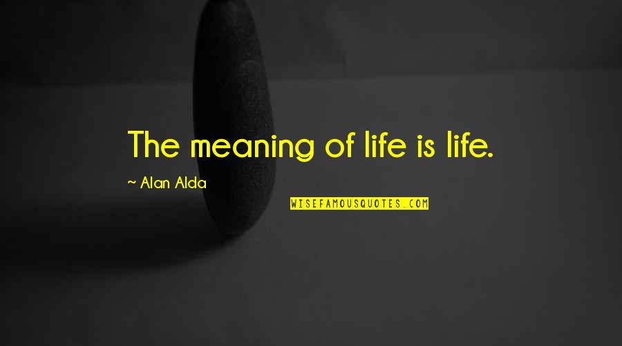 Conservation Education Quotes By Alan Alda: The meaning of life is life.