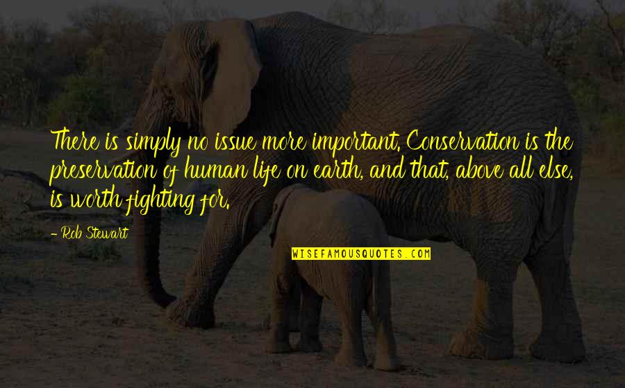 Conservation Of Earth Quotes By Rob Stewart: There is simply no issue more important. Conservation