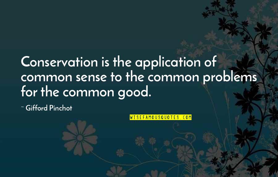Conservation's Quotes By Gifford Pinchot: Conservation is the application of common sense to