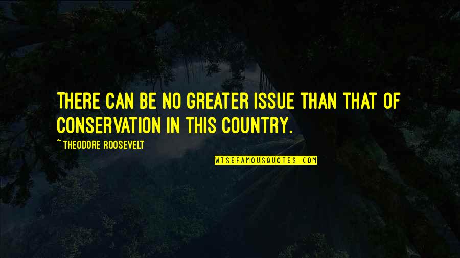 Conservation's Quotes By Theodore Roosevelt: There can be no greater issue than that