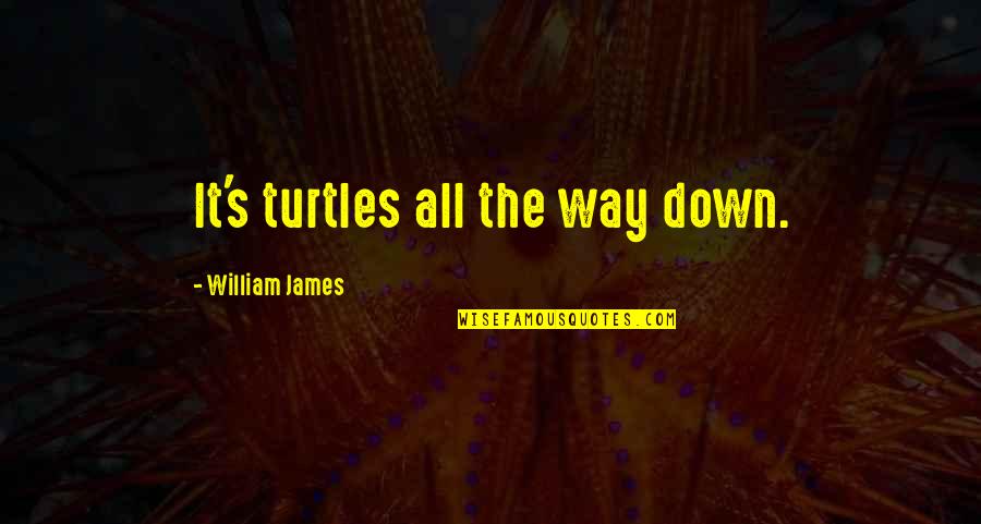 Conserving Quotes By William James: It's turtles all the way down.