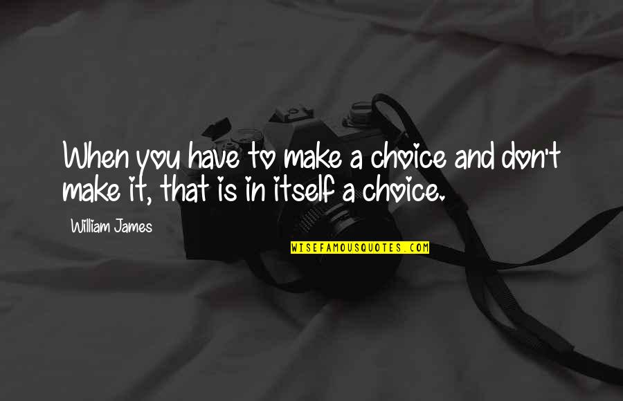 Conserving Quotes By William James: When you have to make a choice and
