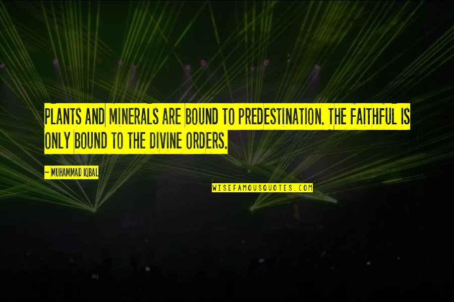 Conserving Resources Quotes By Muhammad Iqbal: Plants and minerals are bound to predestination. The