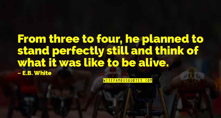 Consideracion Significado Quotes By E.B. White: From three to four, he planned to stand Consideracion Significado Quotes By E.B. White: From three to four, he planned to stand