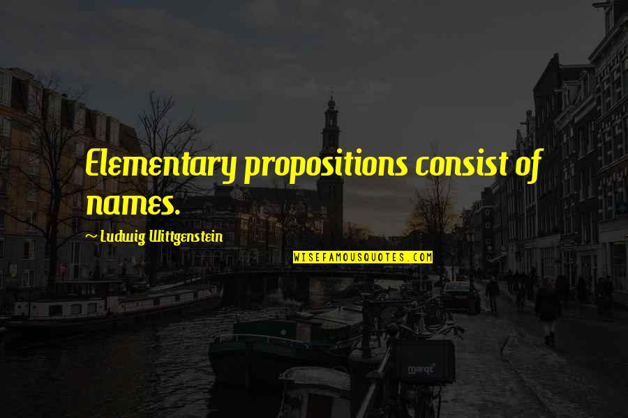 Consist Quotes By Ludwig Wittgenstein: Elementary propositions consist of names.