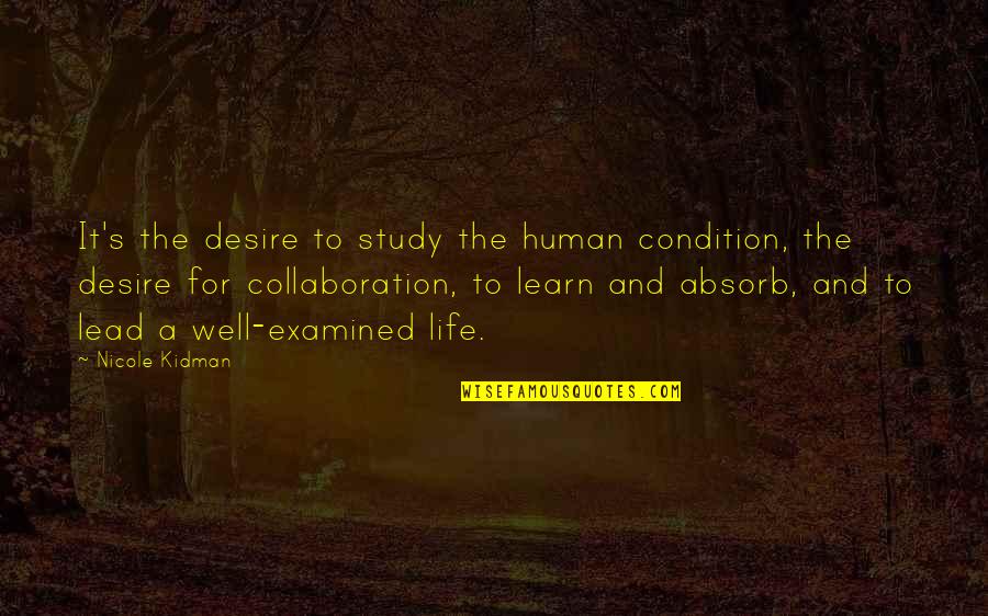 Consistent Ethic Of Life Quotes By Nicole Kidman: It's the desire to study the human condition,