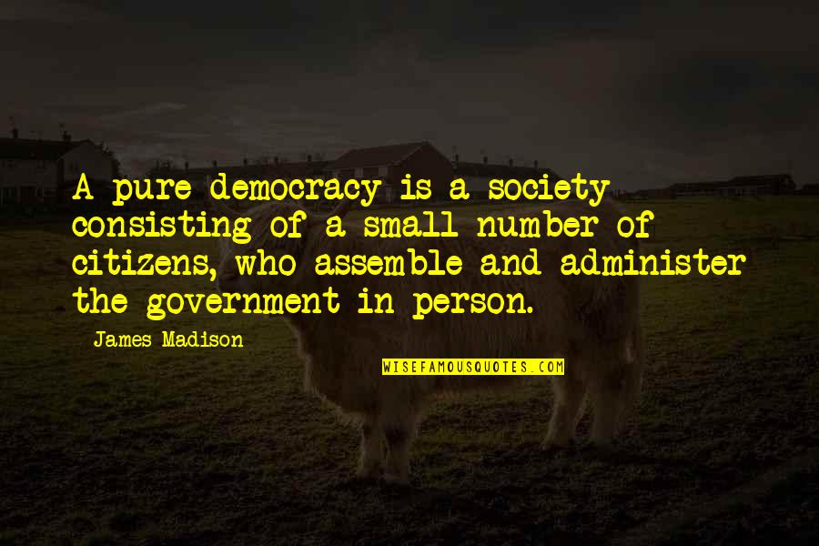 Consisting Quotes By James Madison: A pure democracy is a society consisting of