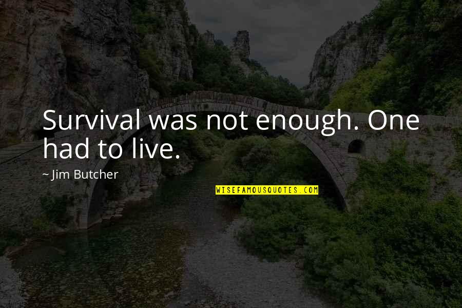 Conspectius Quotes By Jim Butcher: Survival was not enough. One had to live.