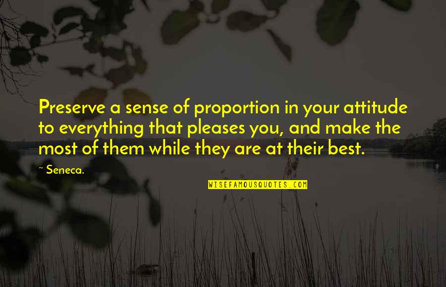Conspicuously Quotes By Seneca.: Preserve a sense of proportion in your attitude