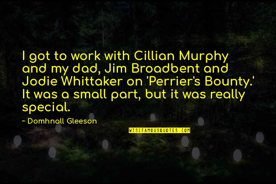Conspiracy 365 Quotes By Domhnall Gleeson: I got to work with Cillian Murphy and