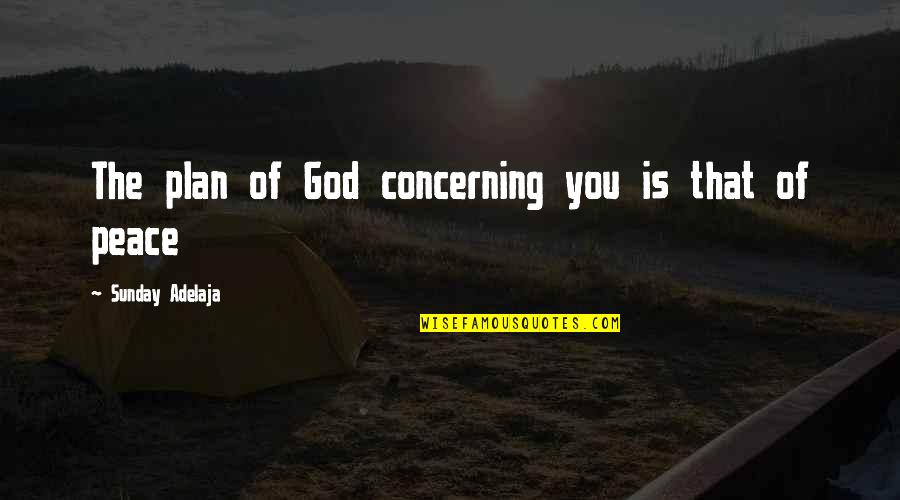 Constalation Quotes By Sunday Adelaja: The plan of God concerning you is that