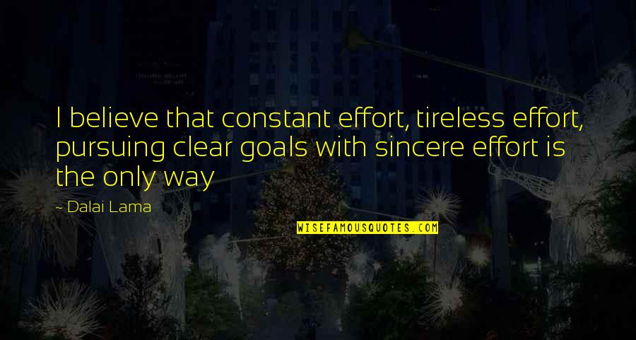 Constant Effort Quotes By Dalai Lama: I believe that constant effort, tireless effort, pursuing