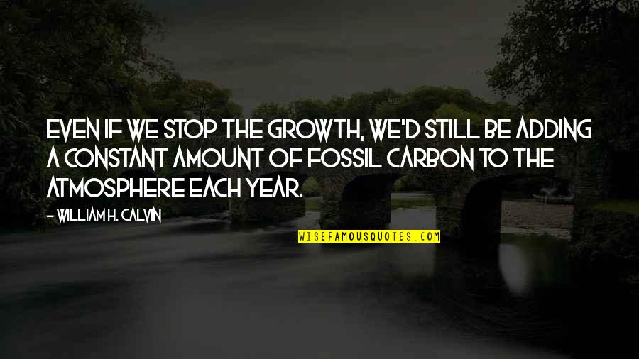 Constant Growth Quotes By William H. Calvin: Even if we stop the growth, we'd still