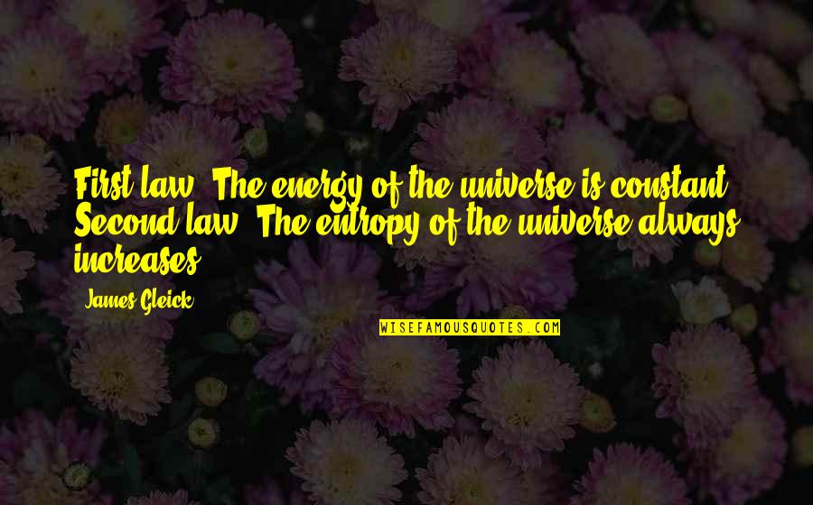 Constant Quotes By James Gleick: First law: The energy of the universe is