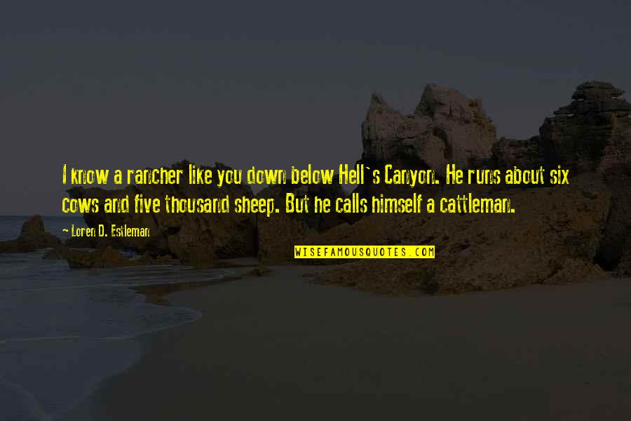 Constantinople City Quotes By Loren D. Estleman: I know a rancher like you down below