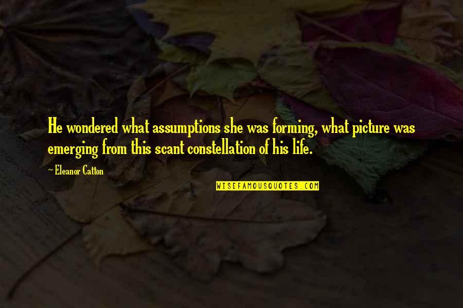 Constellation Quotes By Eleanor Catton: He wondered what assumptions she was forming, what Constellation Quotes By Eleanor Catton: He wondered what assumptions she was forming, what