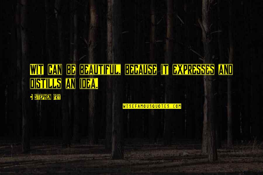 Constipado Intestinal Quotes By Stephen Fry: Wit can be beautiful, because it expresses and