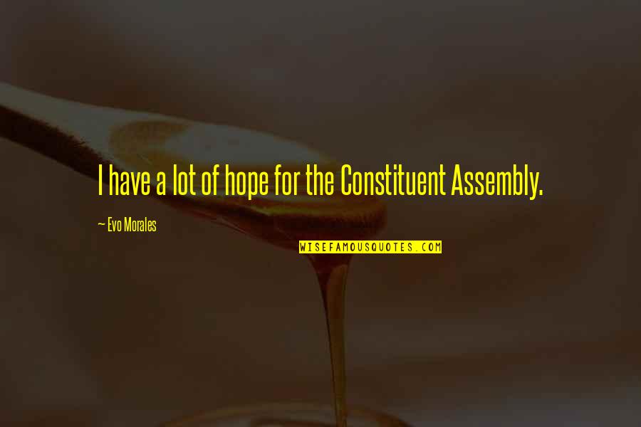 Constituent Assembly Quotes By Evo Morales: I have a lot of hope for the