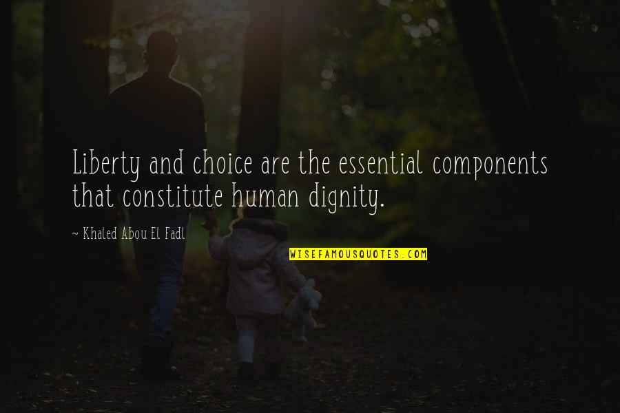 Constitute Quotes By Khaled Abou El Fadl: Liberty and choice are the essential components that