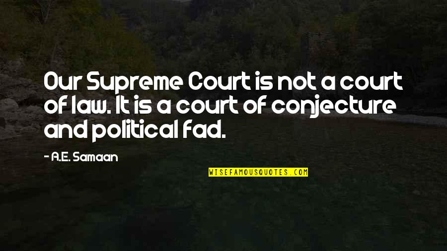 Constitutional Court Quotes By A.E. Samaan: Our Supreme Court is not a court of