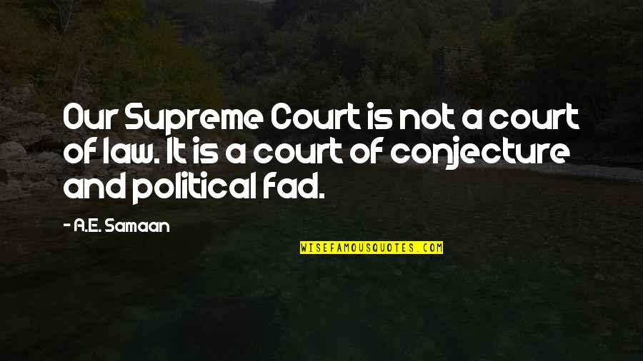 Constitutional Law Quotes By A.E. Samaan: Our Supreme Court is not a court of