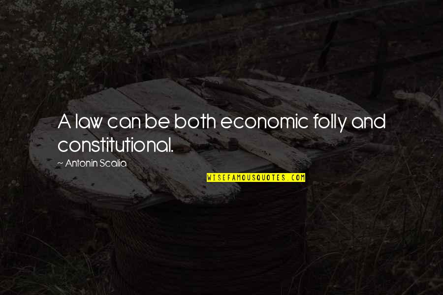 Constitutional Law Quotes By Antonin Scalia: A law can be both economic folly and